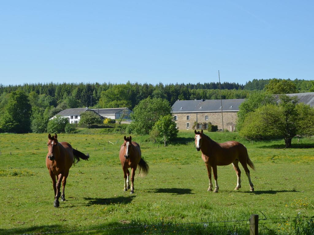 Attached Gite On The Edge Of The Forest Trois-Ponts Exterior foto